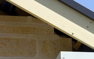 soffit repair Loveston